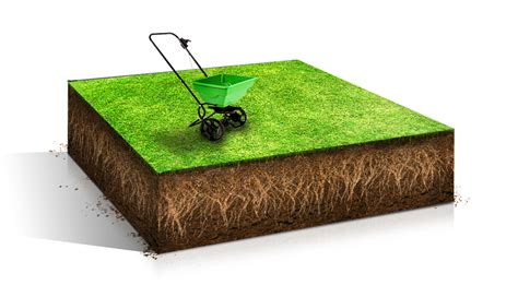 affordable lawn care weed killer tulsa area